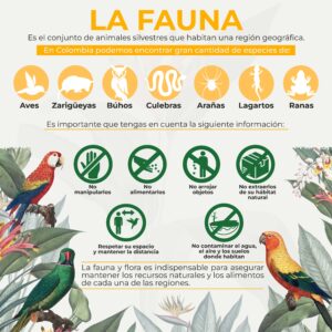 Lee más sobre el artículo Por el bienestar de todos: aprende a cuidar la fauna y la flora