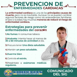 Lee más sobre el artículo Estrategias para prevenir enfermedades del corazón 