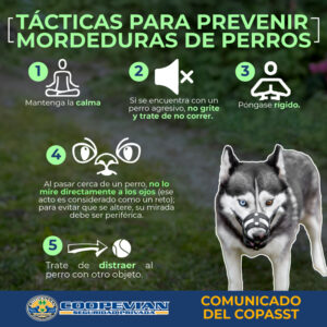 Lee más sobre el artículo Tácticas para prevenir mordeduras de perros