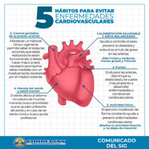 Lee más sobre el artículo Hábitos para evitar enfermedades cardiovasculares